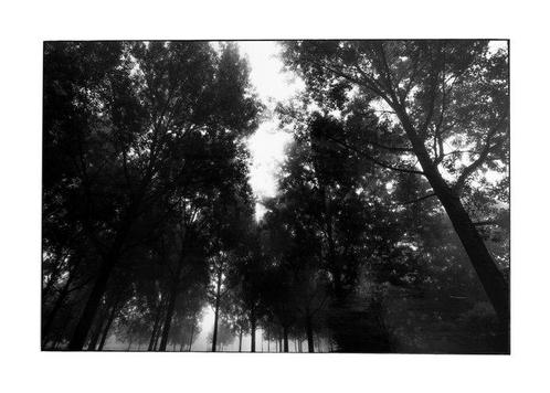 Rouzbeh Tahmassian - In darkness - XL, Antiek en Kunst, Kunst | Schilderijen | Modern