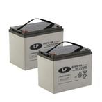 Landport (LP) 2x EVX12-100 AGM / GEL / Carbon accus 12 volt, Caravans en Kamperen, Ophalen of Verzenden, Nieuw