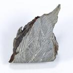 Aletai IJzer meteoriet - 52 g, Verzamelen, Mineralen en Fossielen