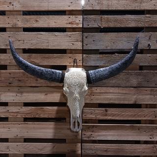 XXL hand gegraveerde Buffalo schedel, 2024 beschikbaar voor biedingen