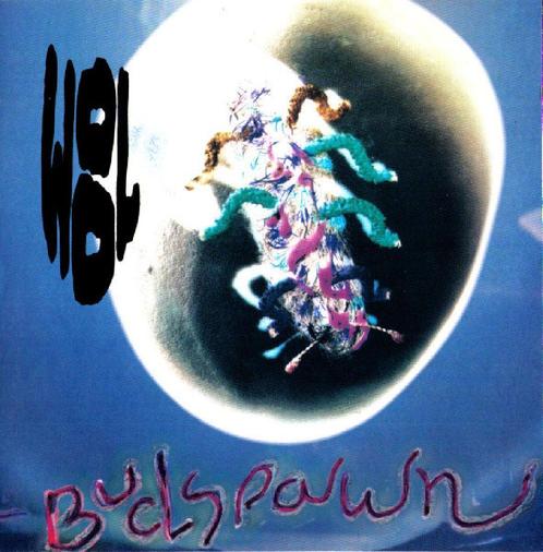 cd - Wool  - Budspawn, Cd's en Dvd's, Cd's | Overige Cd's, Zo goed als nieuw, Verzenden