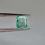 Zonder minimumprijs Groen Smaragd - 0,73 ct - International, Nieuw