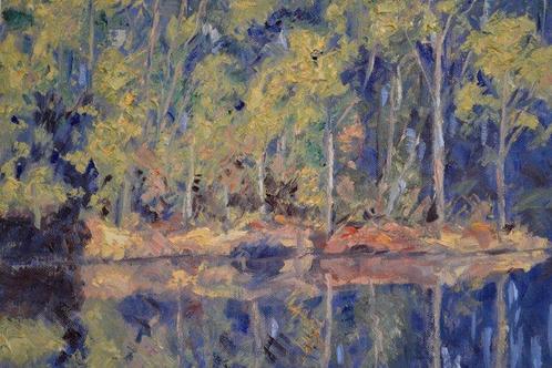 Chris van Dijk (1952) - Impressionist  Reflections dans le, Antiek en Kunst, Kunst | Schilderijen | Klassiek