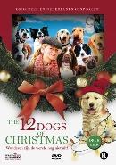 12 dogs of christmas - DVD, Cd's en Dvd's, Dvd's | Kinderen en Jeugd, Verzenden