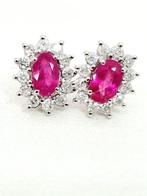 Oorbellen - 18 karaat Witgoud Robijn - Diamant, Nieuw