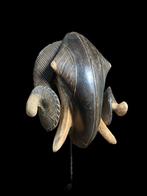 Ram - Baoule-45cm - Ivoorkust (Zonder Minimumprijs), Antiek en Kunst