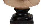 Giuseppe de Winter - sculptuur, Busto di Apollo - 44 cm -