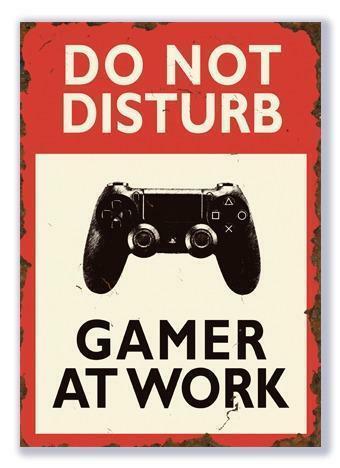 Do Not Disturb Gamer at Work Playstation of Xbox beschikbaar voor biedingen