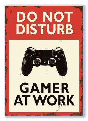 Do Not Disturb Gamer at Work Playstation of Xbox, Huis en Inrichting, Woonaccessoires | Wanddecoraties, Nieuw, Verzenden