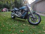 Harley-Davidson - VRSCSE - V-ROD - Screaming Eagle - CVO -