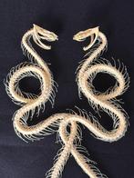 Slang Taxidermie volledige montage - Trimeresurus albolabris, Nieuw