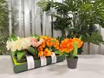 192x Pot met tulpen, kunstplant, Ophalen