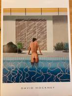 David Hockney (after) - Peter getting out of Nicks pool