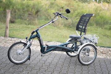 Elektrische Van Raam Easy Rider 2