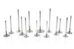 Ferrea Nissan RB26 34.6mm 5.98mm 102.33mm 20 Deg S-Flo, Ophalen of Verzenden, Nieuw