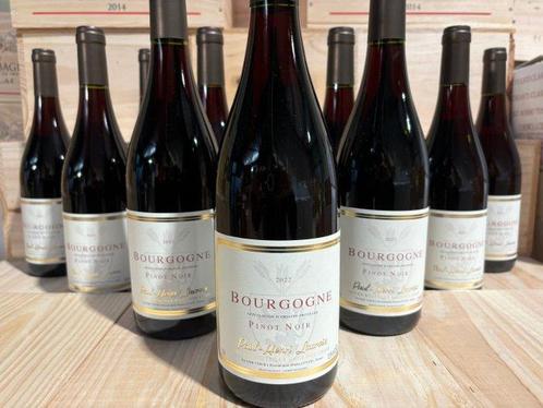 2022 Domaine Paul Henry Lacroix Bourgogne Pinot Noir -, Verzamelen, Wijnen