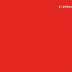 cd - The Fireman - Strawberries Oceans Ships Forest, Verzenden, Zo goed als nieuw