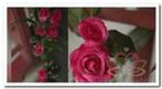 Rozen zijde bloemen guirlande Fuchsia nr 005 Rozen zijde bl, Huis en Inrichting, Woonaccessoires | Kunstplanten en Kunstbloemen