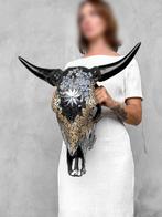 Geen minimumprijs - Authentieke grote stierenschedel met
