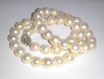 Halsketting 14 kt witgoud - Akoya parels - natuurlijke, Nieuw