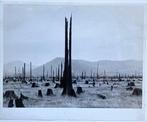 Dorothea Lange - Cut-Over Timber Priest River Valley Shows, Antiek en Kunst