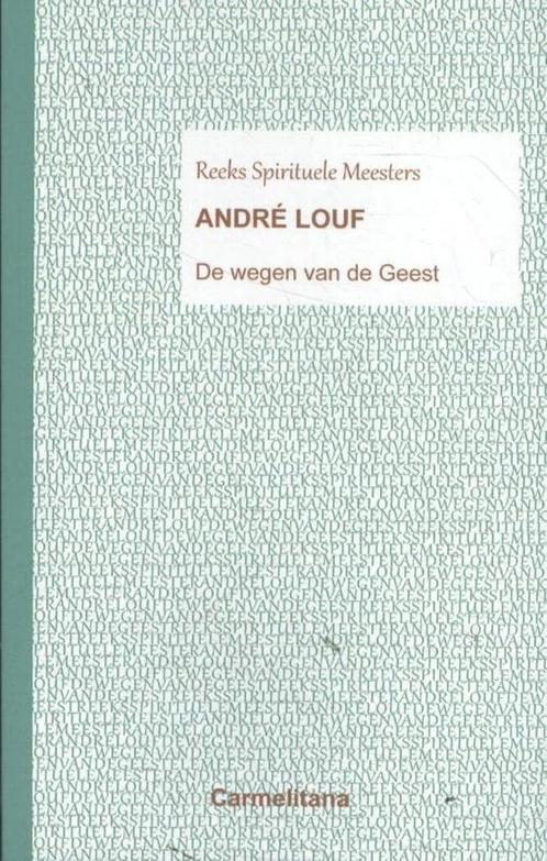 De wegen van de geest / Spirituele Meesters 9789492434180, Boeken, Godsdienst en Theologie, Zo goed als nieuw, Verzenden
