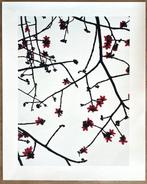 Marco van Duyvendijk (1974) - Kapok (aus der Serie Watch the