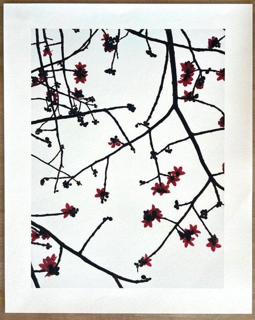 Marco van Duyvendijk (1974) - Kapok (aus der Serie Watch the, Antiek en Kunst, Kunst | Schilderijen | Modern