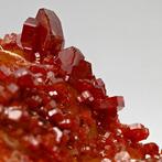 Storm van bloedrood vanadinit op gele bariet Kristallen op, Verzamelen, Mineralen en Fossielen