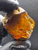 124.65ct Natural Crystal Opal Specimen Ruw- 24.93 g