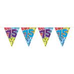 Slingers 75 Jaar Mini 3m, Hobby en Vrije tijd, Feestartikelen, Verzenden, Nieuw