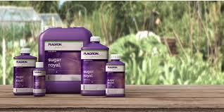 PLAGRON SUGAR ROYAL 500 ML (UNIVERSAL) (PLANT & ZORG), Tuin en Terras, Plantenvoeding, Nieuw, Ophalen of Verzenden