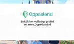 Ninja zoekt een oppas in Leidschendam voor 2 kinderen op...