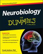 Neurobiology For Dummies 9781118689318, Boeken, Techniek, Zo goed als nieuw