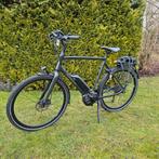 Batavus Dinsdag E-go  Sport / 500wh! / Bosch Performanc, Fietsen en Brommers, Ophalen, Batavus, Zo goed als nieuw, 59 cm of meer