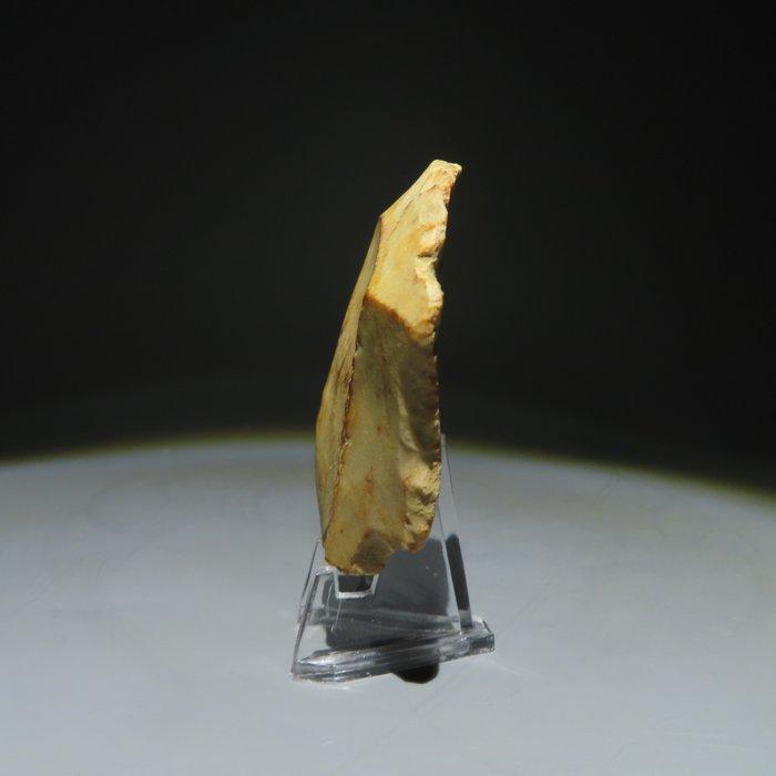 Neolithisch Vuursteen Flint Tool. Michelsberg-cultuur, Antiek en Kunst, Antiek | Overige Antiek