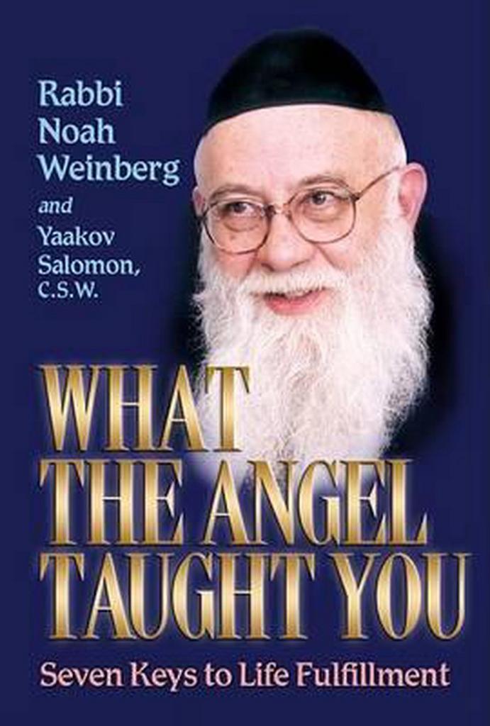 What the Angel Taught You 9781578191345 Noah Weinberg, Boeken, Taal | Engels, Gelezen, Verzenden
