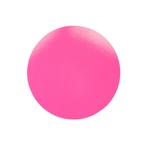 Taartkarton Fuchsia/Zwart Ø24cm per stuk, Verzenden, Nieuw