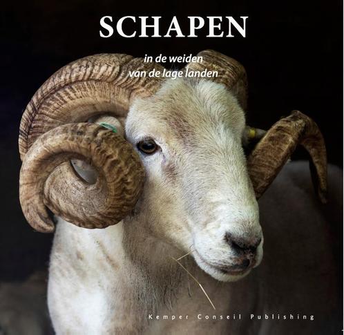 Schapen in de weiden van de lage landen 9789463870108, Boeken, Hobby en Vrije tijd, Zo goed als nieuw, Verzenden
