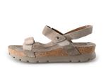 Panama Jack Sandalen in maat 41 Bruin | 10% extra korting, Kleding | Dames, Schoenen, Bruin, Verzenden, Sandalen of Muiltjes, Panama Jack
