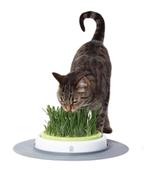 Cat It CA Design Senses Navulling Gras-Kit, Nieuw, Ophalen of Verzenden