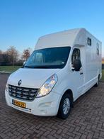 Renault MTM paardenwagen! Hengstenuitvoering!, Ophalen, Nieuw, 2-paards trailer