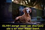 Een goed gevoel en een hele zorg minder.