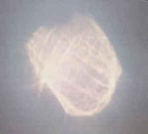 cd promo - BenoÃ®t Pioulard - Temper DIGI, Cd's en Dvd's, Cd's | Overige Cd's, Zo goed als nieuw, Verzenden