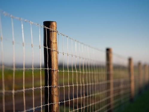Weidepaal 200 cm, kop 10 cm, Dura2 gecreosoteerd, Dieren en Toebehoren, Paarden en Pony's | Overige Paardenspullen, Nieuw, Ophalen of Verzenden