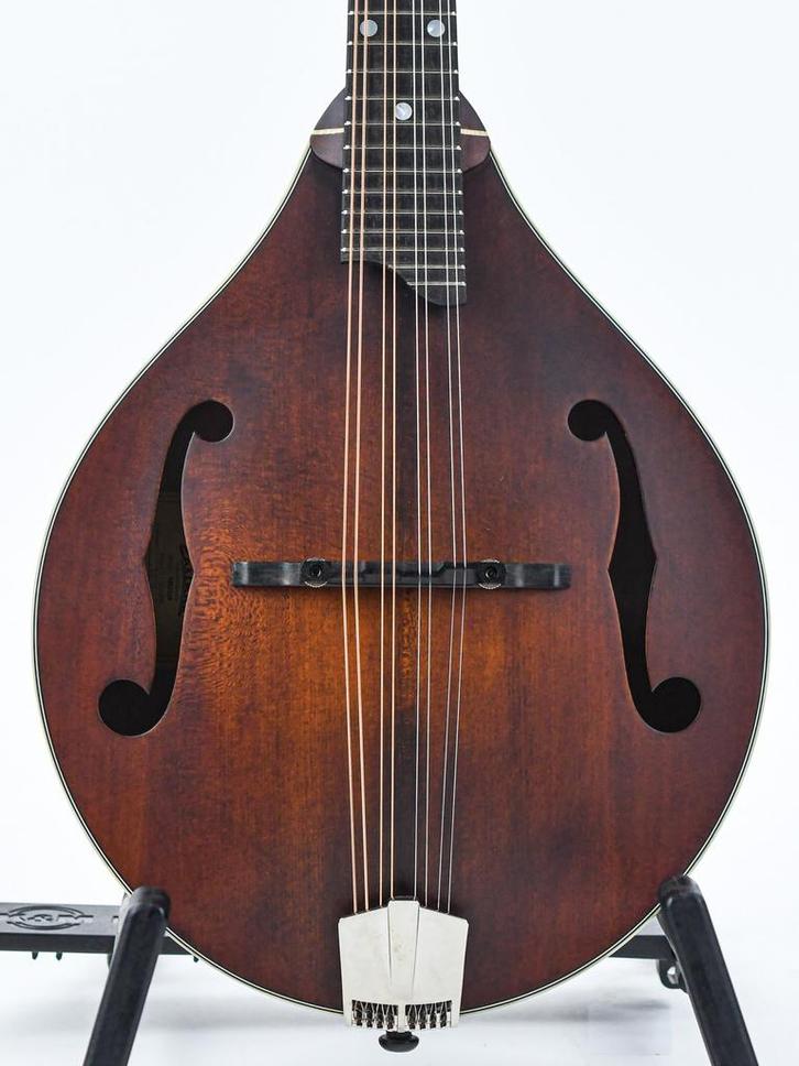 Eastman MD305 A Style (Folk & Bluegrass,Mandoline), Muziek en Instrumenten, Snaarinstrumenten | Mandolines, Nieuw, Ophalen of Verzenden