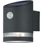 LED Tuinverlichting - Buitenlamp - Trion Salty - Wand - 3W -, Tuin en Terras, Buitenverlichting, Nieuw, Ophalen of Verzenden, Rvs