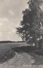 HIERDEN - Groeten van de Veluwe. Vakantie-centrum De Woud..., Verzenden, Gelopen