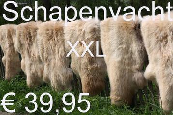 Schapenvacht BEIGE schapenvel schapenhuid  € 39,95 GROOT ASS beschikbaar voor biedingen