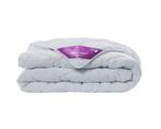 Silvana Comfort Paars, Nieuw